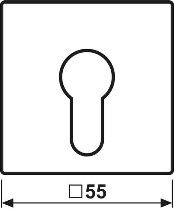 Jung Série A Couvercle pour Interrupteur à Clé sans Protection Démontage, Noir (A 525 PL SW)