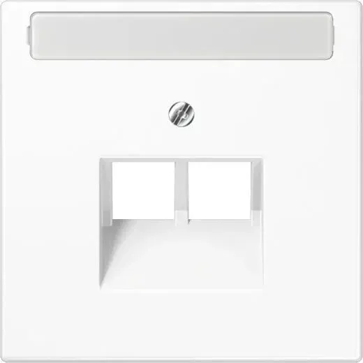 Jung Série LS Couvercle pour prises de courant IAE/EAU, 2 x 8 broches avec police, noir graphite mat (LS 969-2 NAUA SWM)
