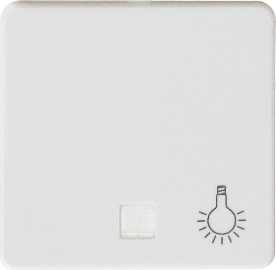 Schrack ELSO Bascule éclairée par symbole lumière, blanc pur (EL213154)