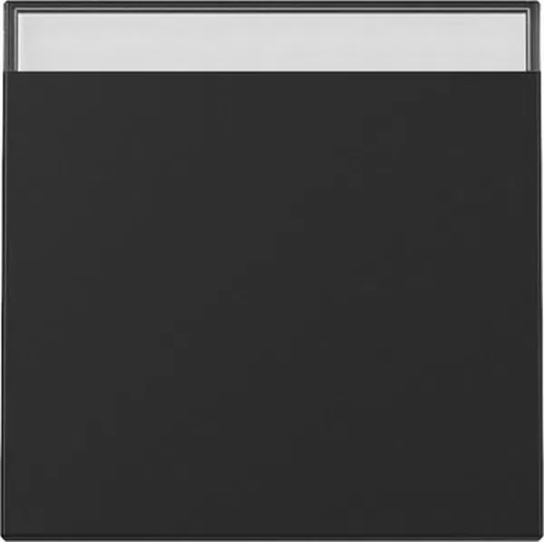 Gira Bascule avec champ d'inscription, noir mat (3299 005)