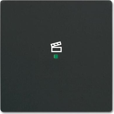 Busch-Jaeger Bascule 1 fois avec symbole "scène", noir mat (6233-10-885)