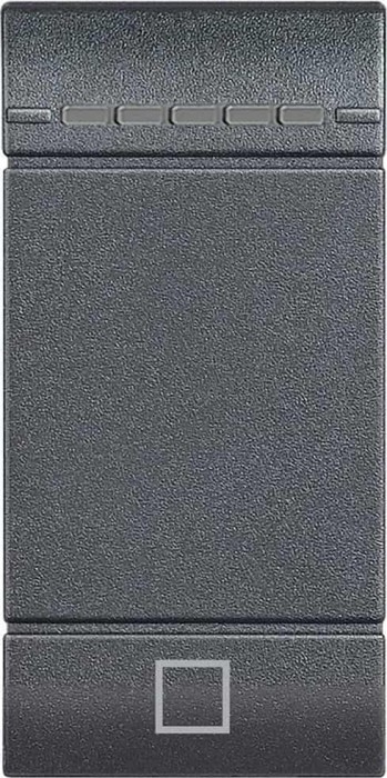 Balançoire Bticino LivingLight SCS, anthracite (L4915AEN)