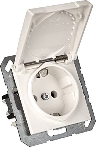 Prise Jung SCHUKO couvercle rabattable, blanc alpin (AS 1520 KL WW)
