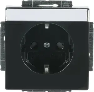 Busch-Jaeger Future Linear Insert de prise avec champ d'inscription, anthracite (20 EUCNB-81)