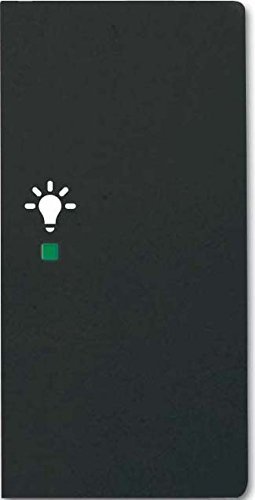 Busch-Jaeger Bascule 2 plis avec symbole "lumière", noir mat (6231-22-885)