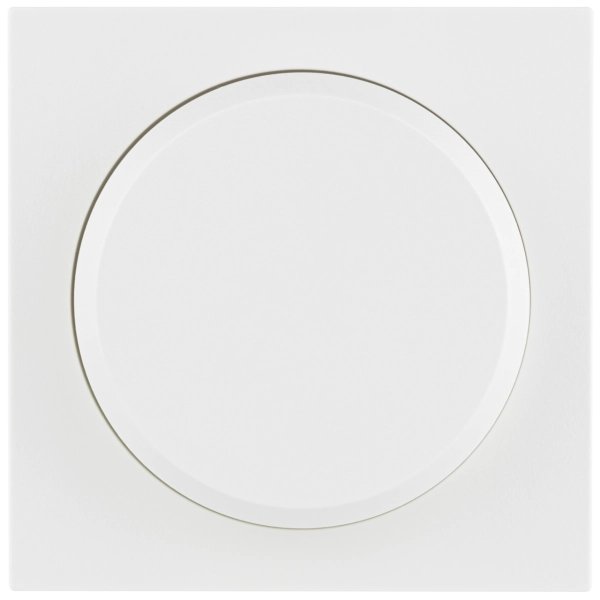 REV Ritter Matrix Housse pour régulateur de luminosité, blanc mat (0239700106)