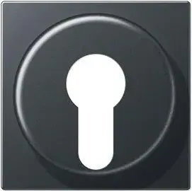 Jung Série A Couvercle pour Interrupteur à Clé avec Protection Démontage, Anthracite (A 528 PL ANM)