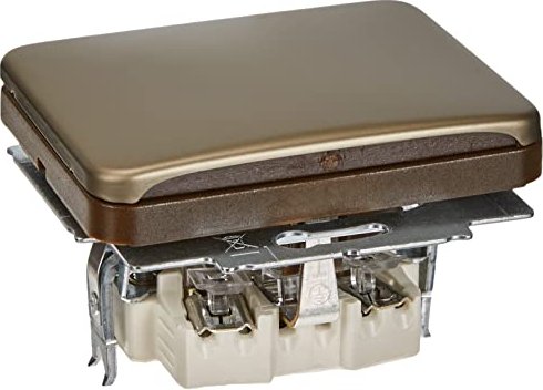 Busch-Jaeger Alpha Insert de prise avec couvercle rabattable, bronze (20 EUK-21)