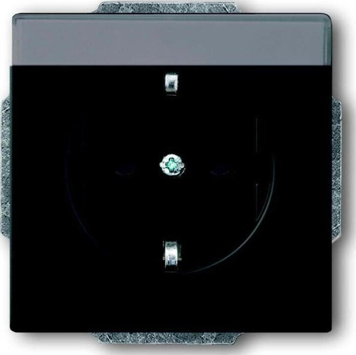 Busch-Jaeger Future Linear Insert de prise avec champ d'inscription, noir mat (20 EUN-885)