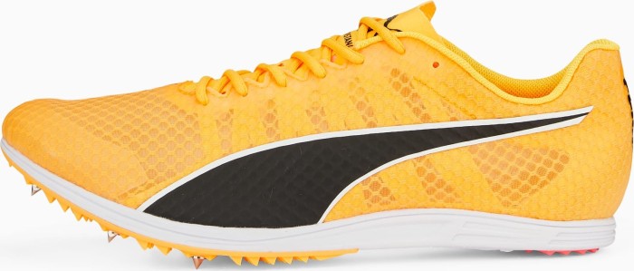 Puma evoSPEED Distance 11 Sun Stream/puma noir/puma argent (homme) (377961-01)